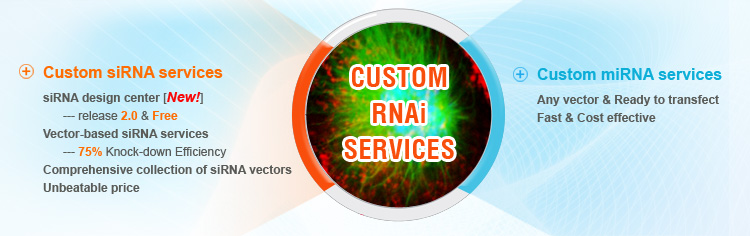 Custom siRNA & miRNA Services
